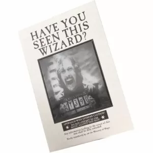 LIBRETA HAVE YOU SEEN THIS WIZARD? (HARRY POTTER)